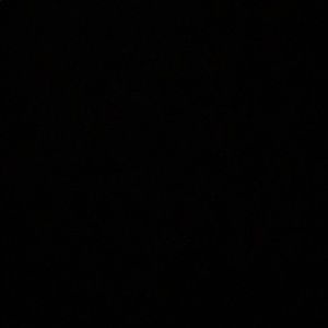 Meet your Posher, Finley